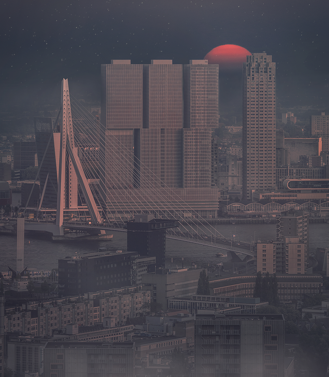 Rotterdam Sunset